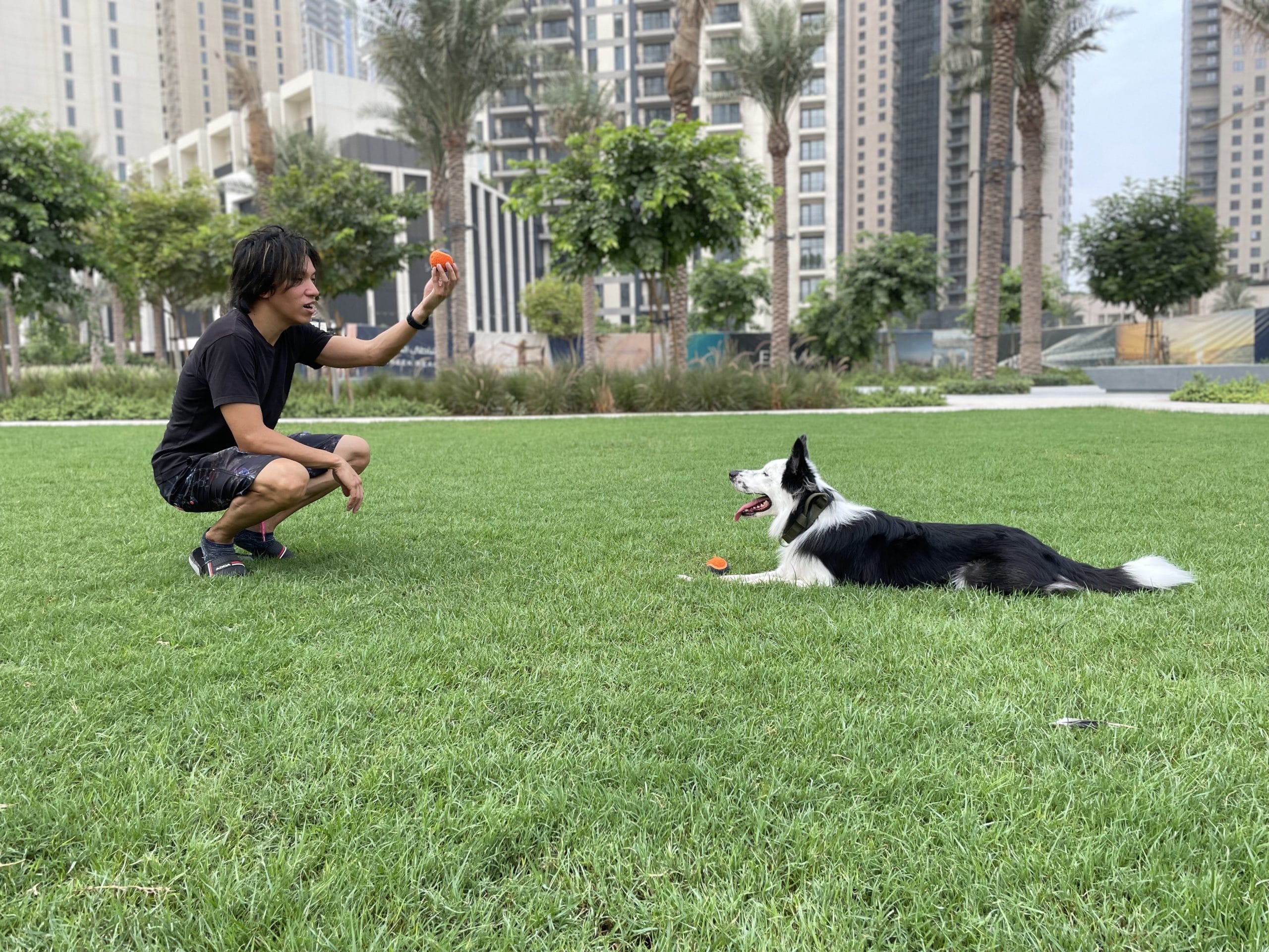 海外の外でボール遊びをする犬と男性