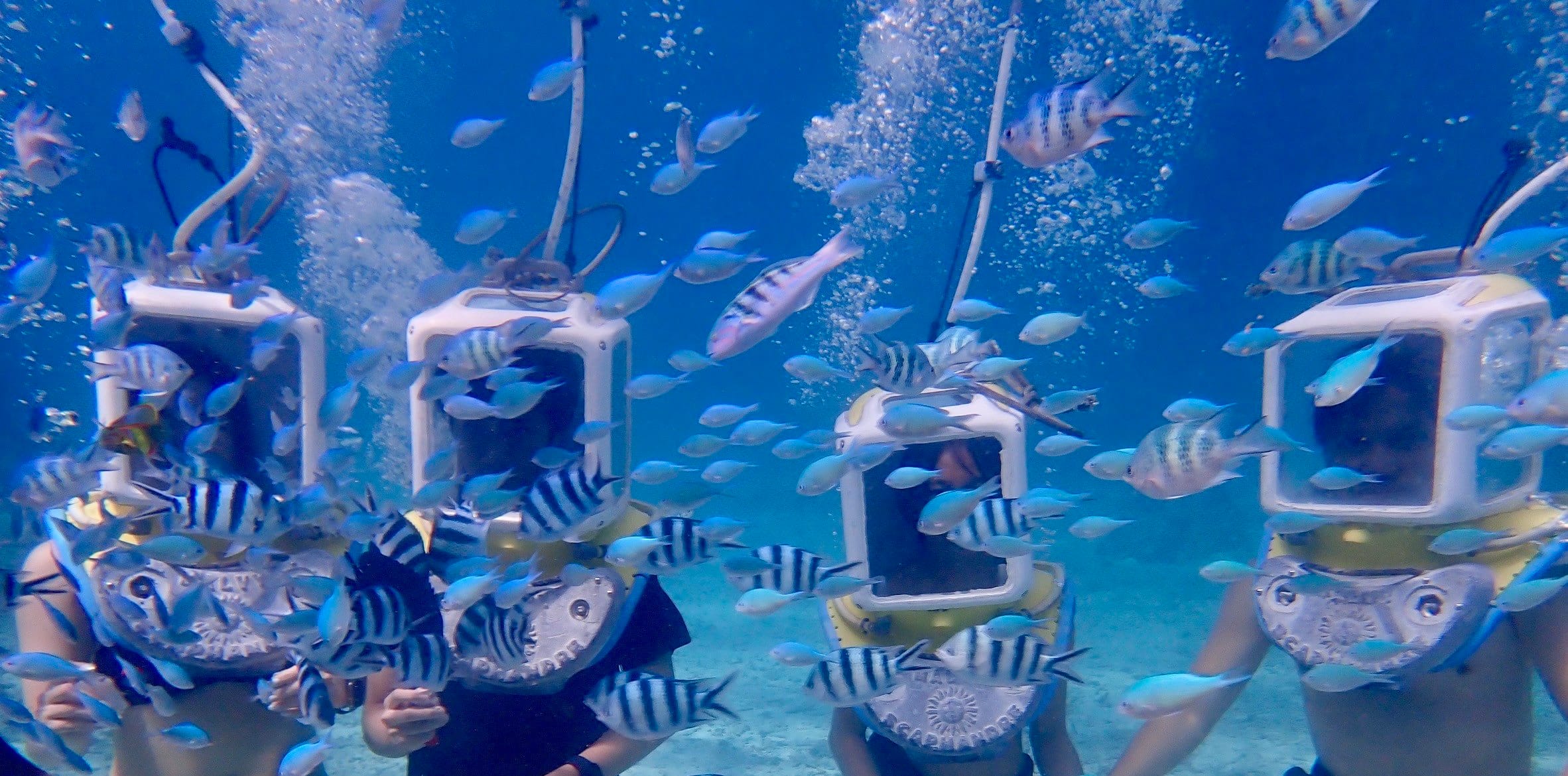 沖縄：シーウォーク体験