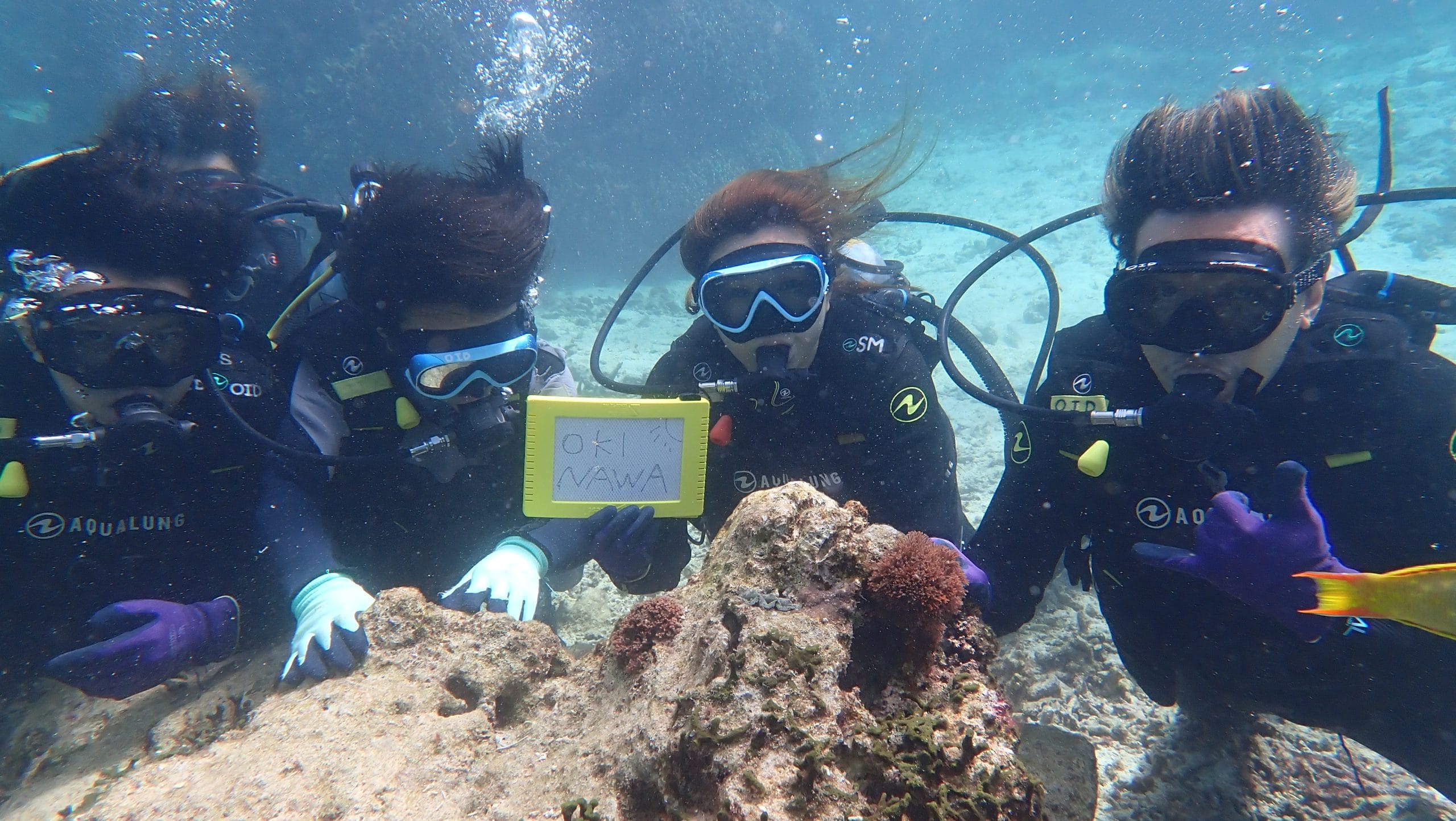 青の洞窟：体験ダイビング雨天時