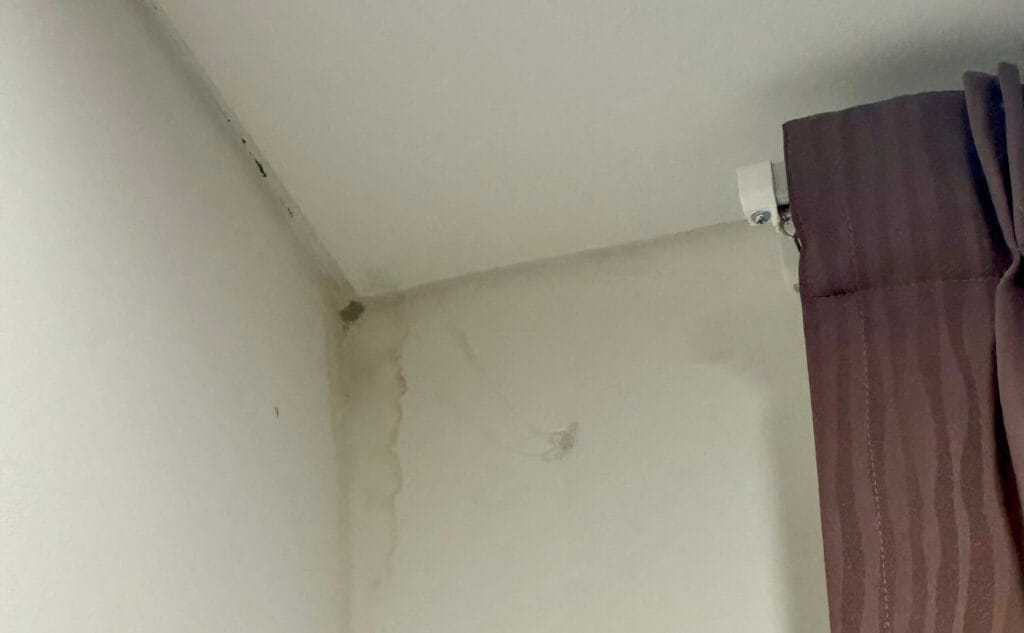 デサパークシティー：宿泊施設