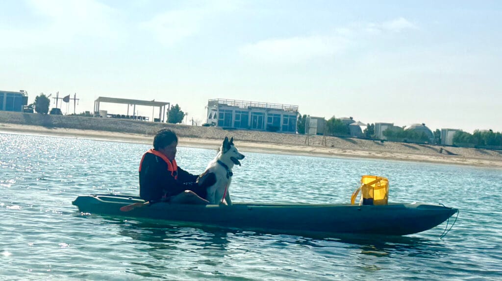 ドバイ近郊のペット可カーヤック