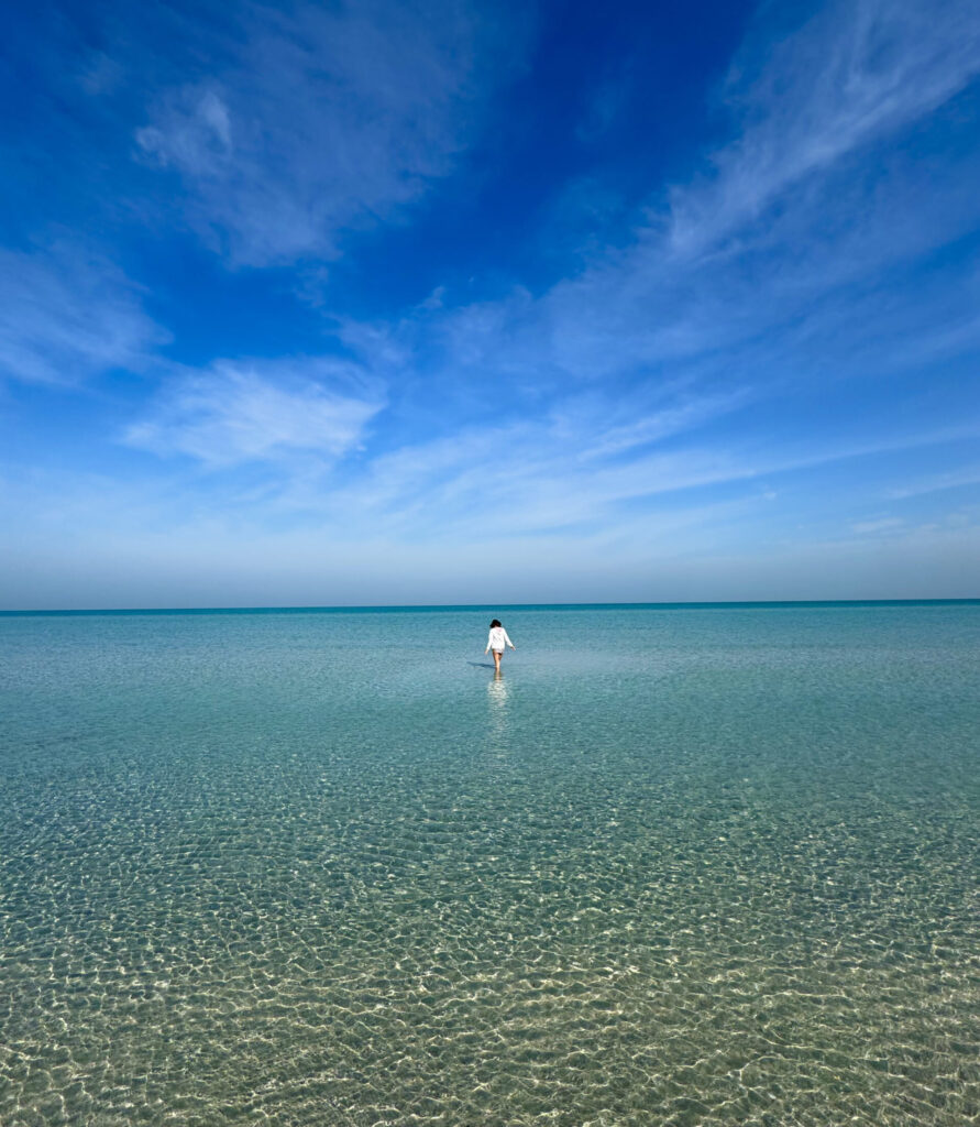 ドバイ近郊のペット可ビーチ