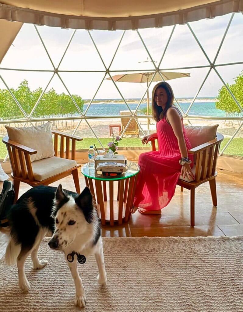 ドバイ近郊のペット可ドームテント